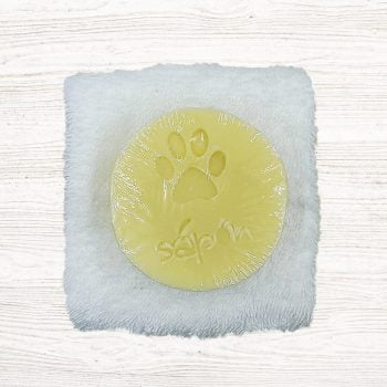 DOG SPA