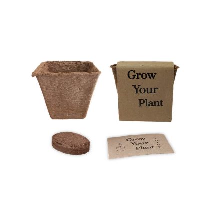 Grow your plant kit doroset